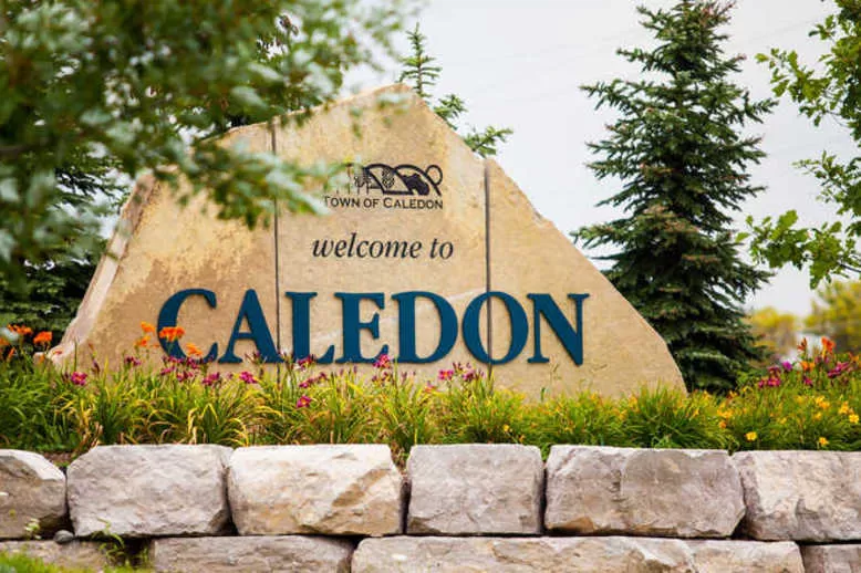 caledon airport limo